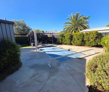 Australind - Photo 4