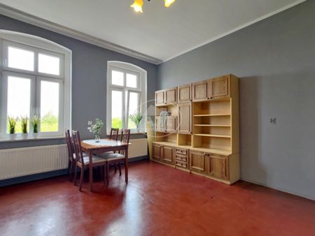 Przyjazne zwierzętom, duża kawalerka, - Фото 5