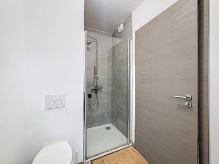 Location Appartement 1 pièce Meublé 29m² AJACCIO 20167 - Photo 5