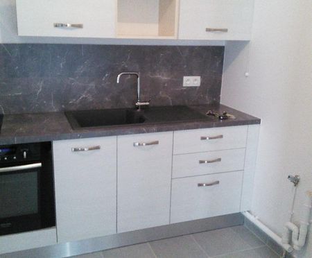 Appartement T1 à GRENOBLE - Photo 4