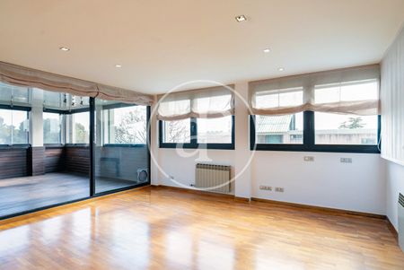 Apartment for rent in Finestrelles - Photo 2