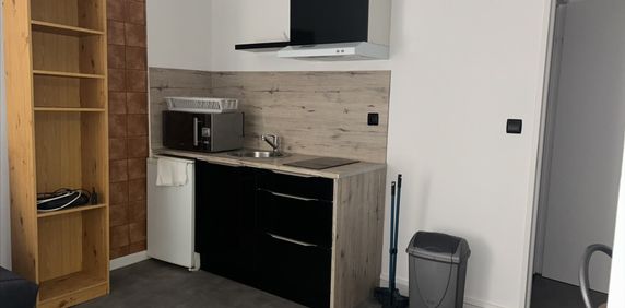 Location Appartement 1 pièce 19m² - Photo 2