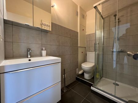 Location Appartement 2 pièces 30m² CHAMBERY 73000 - Photo 5