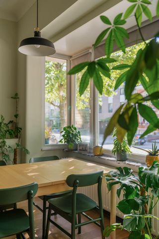 Green apartment met terras, ondergrondse garage en Argentijnse vibes in de wijk Pulhof - Photo 4