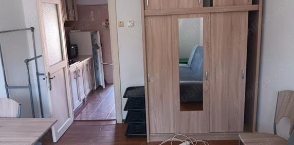 Baba novac fildesului campia libertatii - Fotografie 2