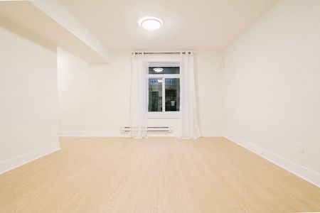 Four-Legged Friendly! - Photo 2