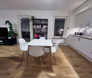 Gaffelseglet, Vega - Photo 1