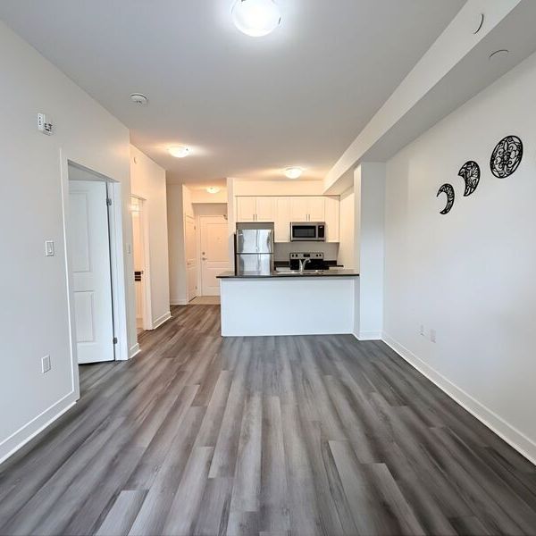 $1,699 / 1 br / 1 ba / 125 shoreview pl unit 101 - Photo 1