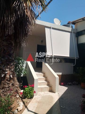 Μονοκατοικία για ενοικίαση Υπόλοιπο Μαρκόπουλου (Μαρκόπουλο) - Photo 2