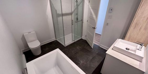 3 CH - 1 SDB - Granby - $1,625 /mo - Photo 3