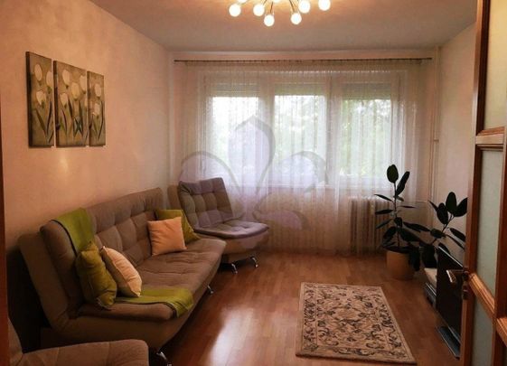 Renewed flat close to Uni, next to tramline - Fotó 1
