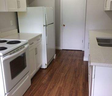 Darren Manor - Photo 6