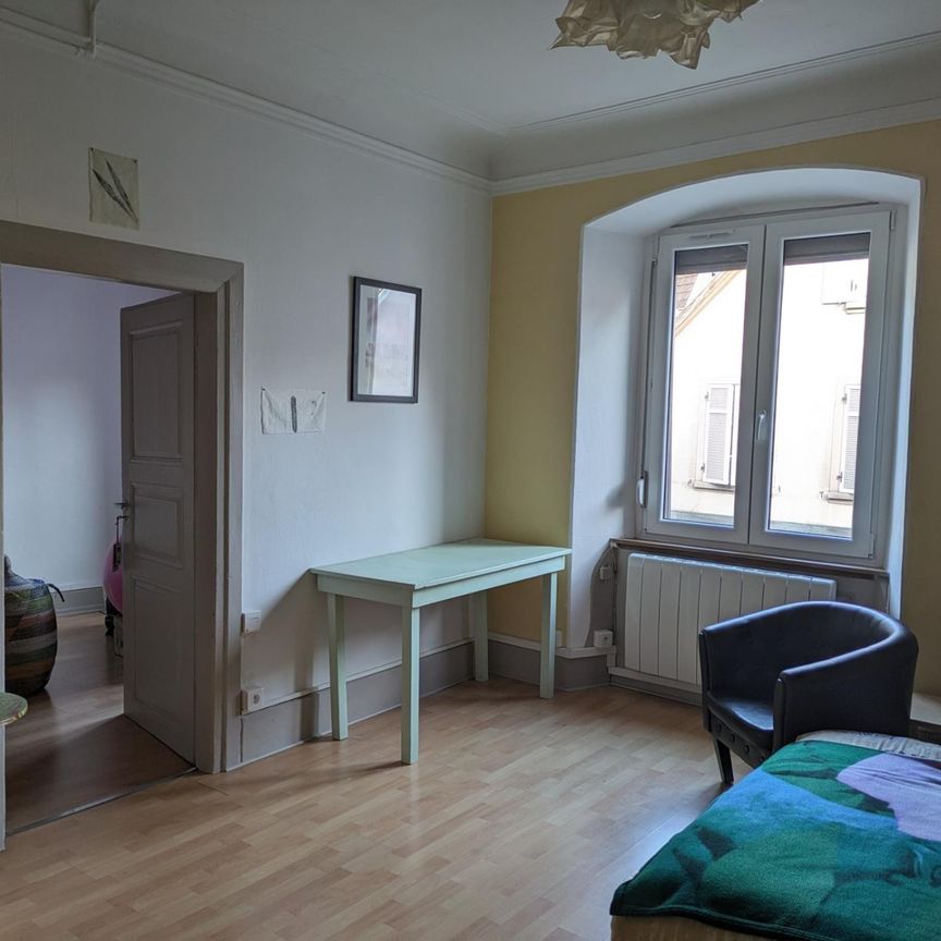 Location Appartement 3 pièces 64m² ALTKIRCH 68130 - Photo 1