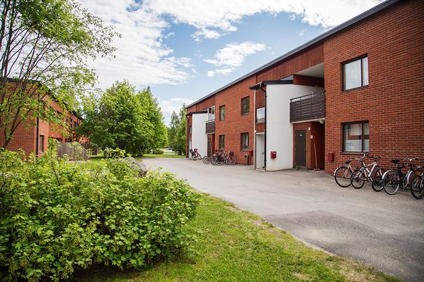 Ankarskatavägen 78 D, 94164, Piteå - Foto 1