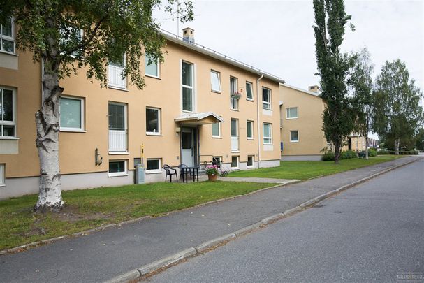 Seminariegatan 15 - Photo 1
