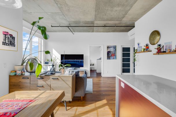 4300 Rue St-Ambroise #516 - Photo 1