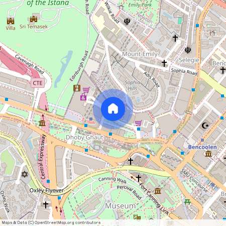 28 Handy Road, D09, Singapore
