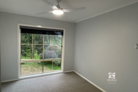 IMMACULATE - Photo 4