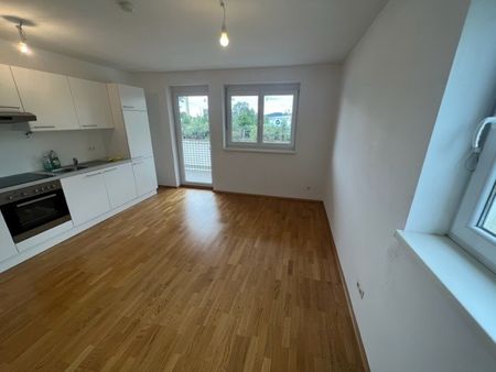 PROVISIONSFREI – Jakomini – 56 m² – 3 Zimmer – WG geeignet – großer Westbalkon – Top Zustand - Foto 4