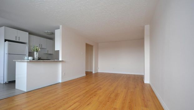 Lorentz Apartments - Photo 1