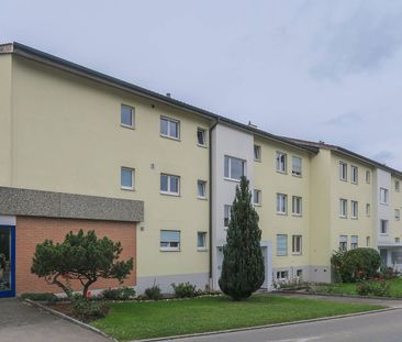 Schöne Wohnung mit sehr grosser Terrasse - Foto 2