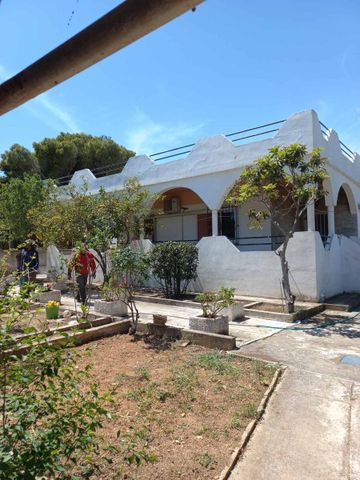 Μονοκατοικία για ενοικίαση - Αρτέμιδα (Λούτσα), - Photo 2