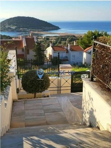 Μονοκατοικία για ενοικίαση Ανάβυσσος - Φωτογραφία 5