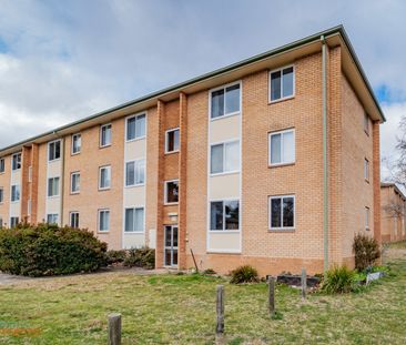 36/3 Waddell Place, Curtin ACT 2605 - Apartment For Rent | Domain - Photo 5