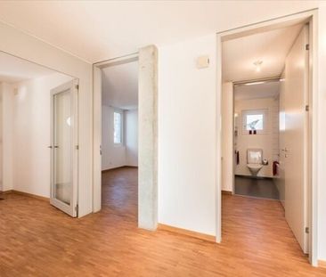 Vivre sur l’Ilfis (y compris mois gratuit) - Photo 1