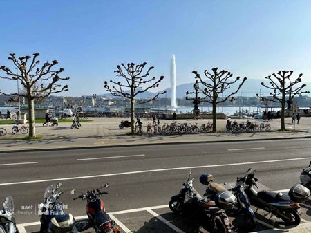 Appartement de prestige – entièrement rénové – magnifique vue sur la rade, le jet d’eau et le Mont-Blanc - Foto 5