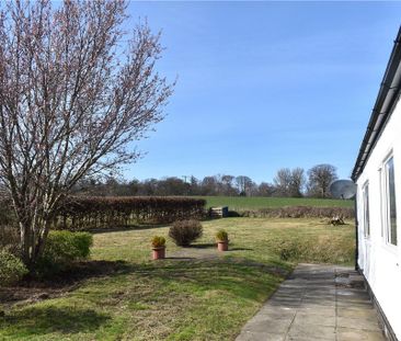 3 bedroom bungalow to rent - Photo 5