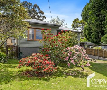 613 Huon Rd, South Hobart TAS 7004 - House For Rent | Domain - Photo 4