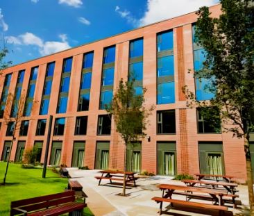 Classic Studio - Photo 1