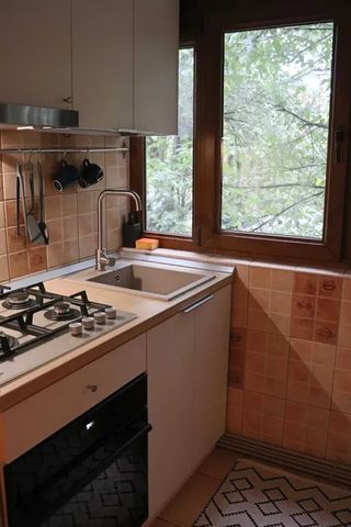 Apartament cu 1 camera, decomandat, zona Podu de Fier - Fotografie 3