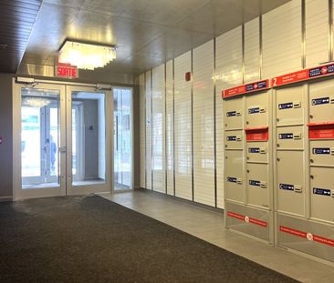 1205 Rue MacKay Montréal (Ville-Marie), QC H3G - Photo 4