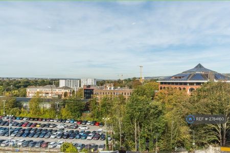 Studio to rent - Photo 5