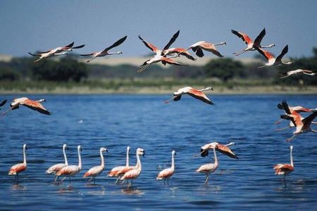 Apartamento de alquiler en Carrer Cartagena, 10, Playa Tamarit - Playa Lissa - Photo 2