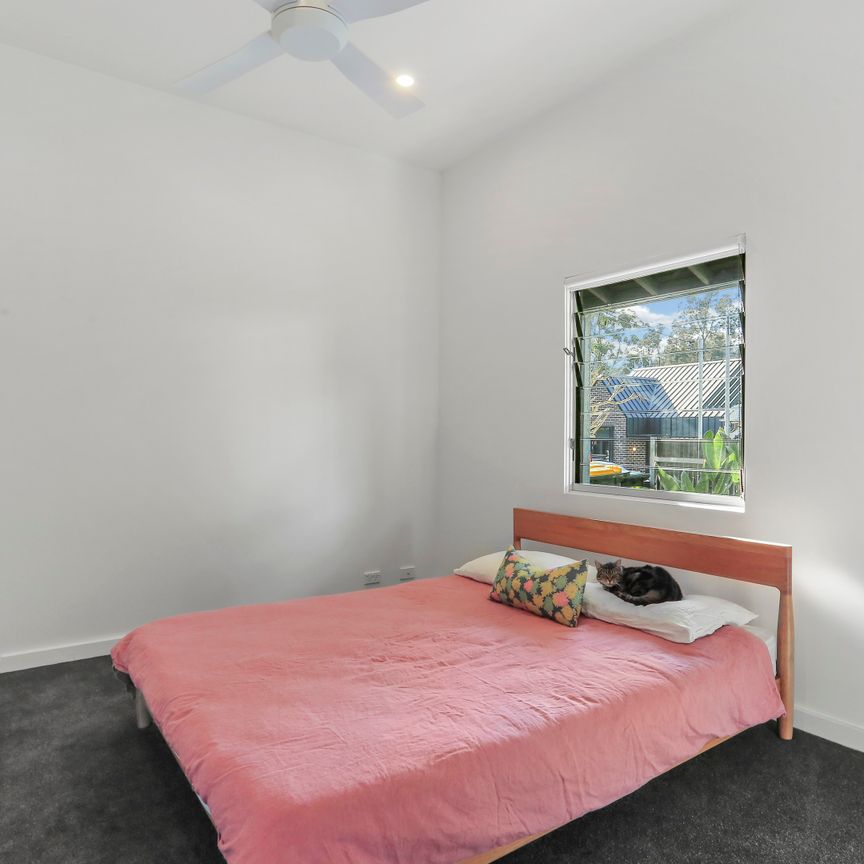 54 White Street, Lilyfield NSW 2040 - House For Rent | Domain - Photo 1