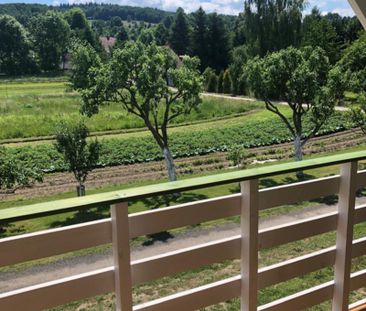 Domek na wynajem długoterminowy w Siedlęcinie - Фото 3