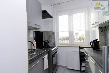 Kielce, Sady - Photo 5