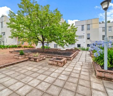 MODERN BRUCE LIVING! - Photo 5