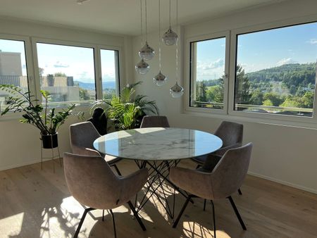 Möblierte Attika - Traumsicht über Zürich bis Uetliberg - neuwertig - Photo 4