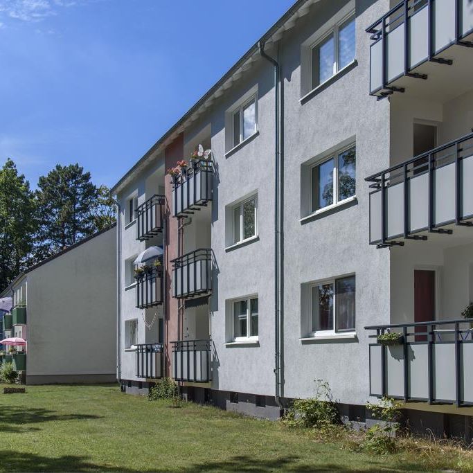 Hier kann man alt werden: Erdgeschoss-Wohnung mit Duschbad! - Foto 1