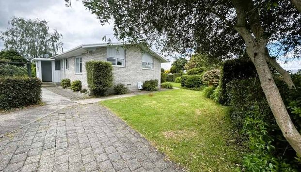 3 BEDROOM - TE AWAMUTU - Photo 1