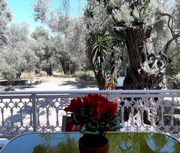 Διαμέρισμα για ενοικίαση Σκάλα Μιστεγνών (Λέσβος - Λουτρόπολη Θερμής) - Φωτογραφία 4