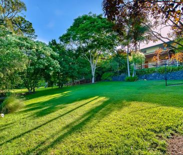 55 Rutherford Street, Stafford Heights QLD 4053 - House For Rent - ... - Photo 4