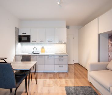Apartment for rent, 1+KK - Studio, 22m - Fotografie 4