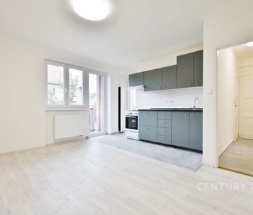 Pronájem bytu 2+1 57 m², Došlíkova 2251, Brno - Photo 2