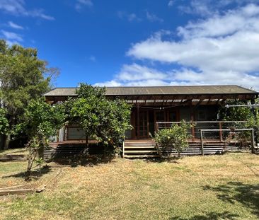 Brand New Kitchen - Photo 2