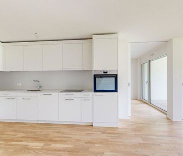 2.5 Zimmer, 59 m², 1. Stock - Photo 2